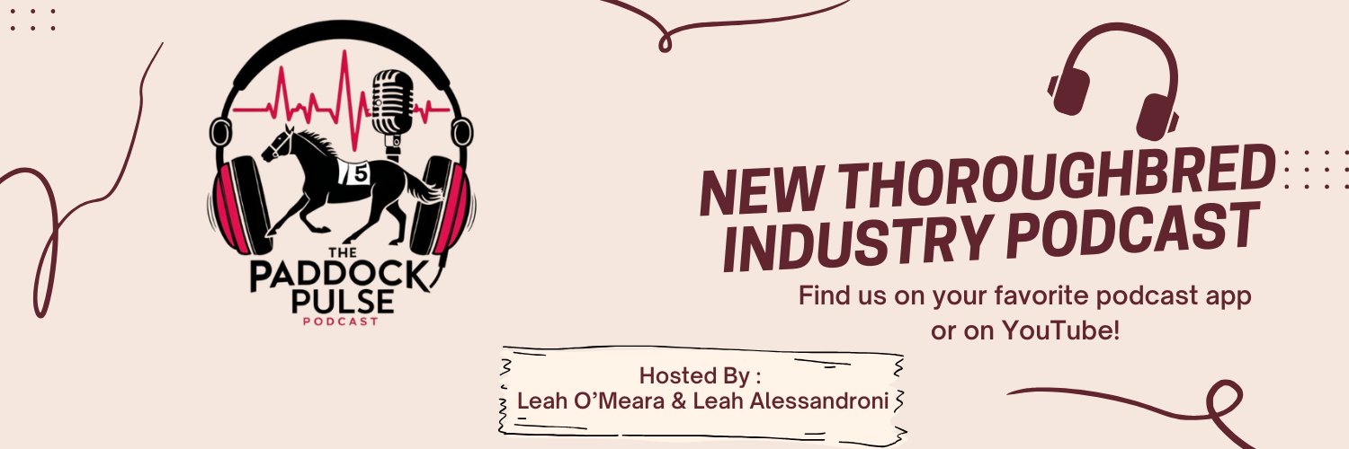 Paddock Pulse banner