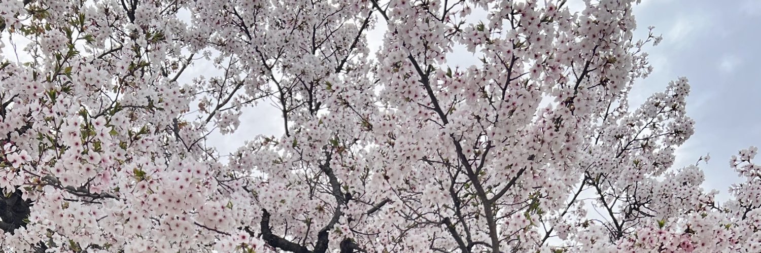 暦🐯移民政策反対デモ's banner