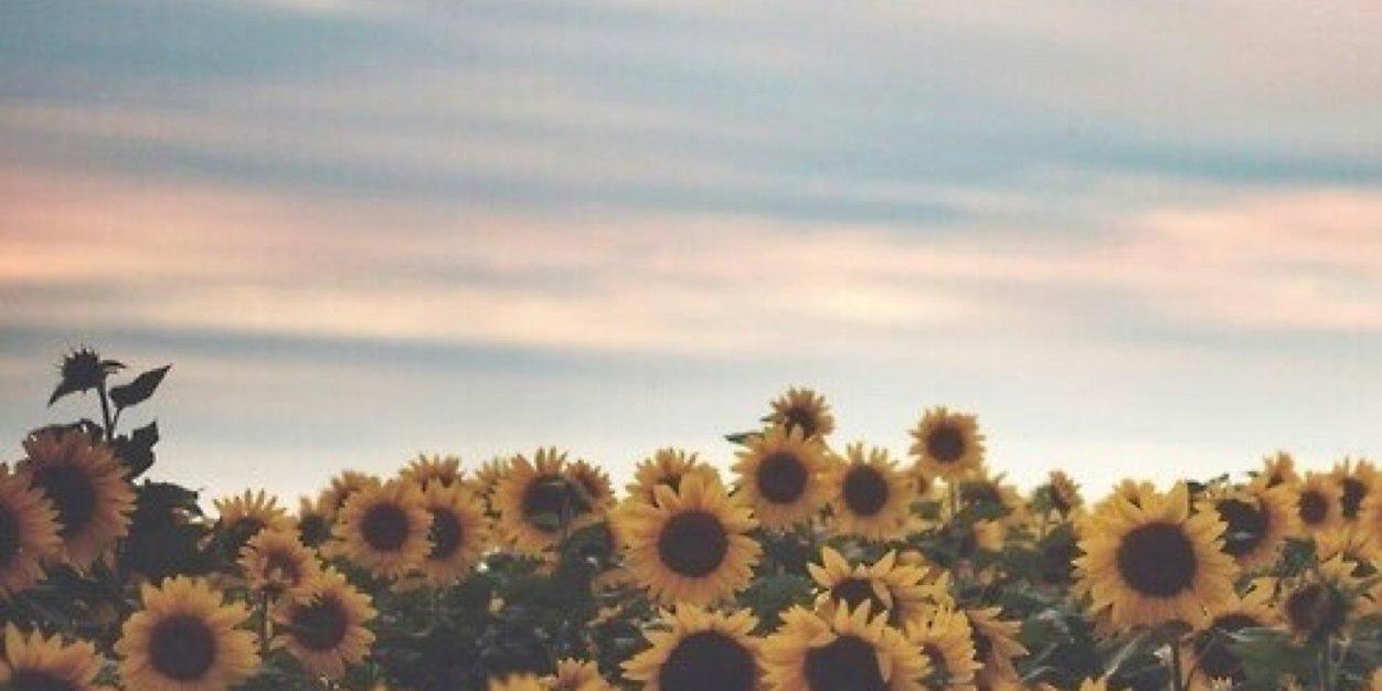 imtroublee's profile banner image