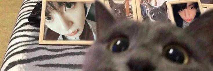 ⋆ Lua ☾˚࿔ | ♱ banner