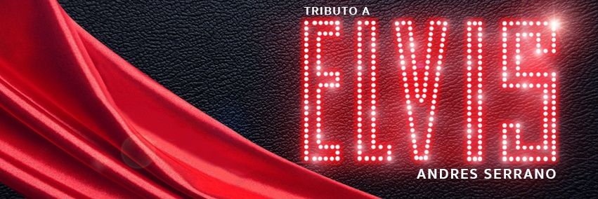 Tributoalrey's profile banner image