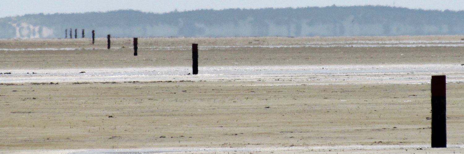 Martijn de Groot banner