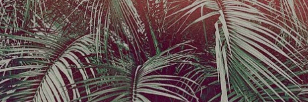 mr_wasosky's profile banner image