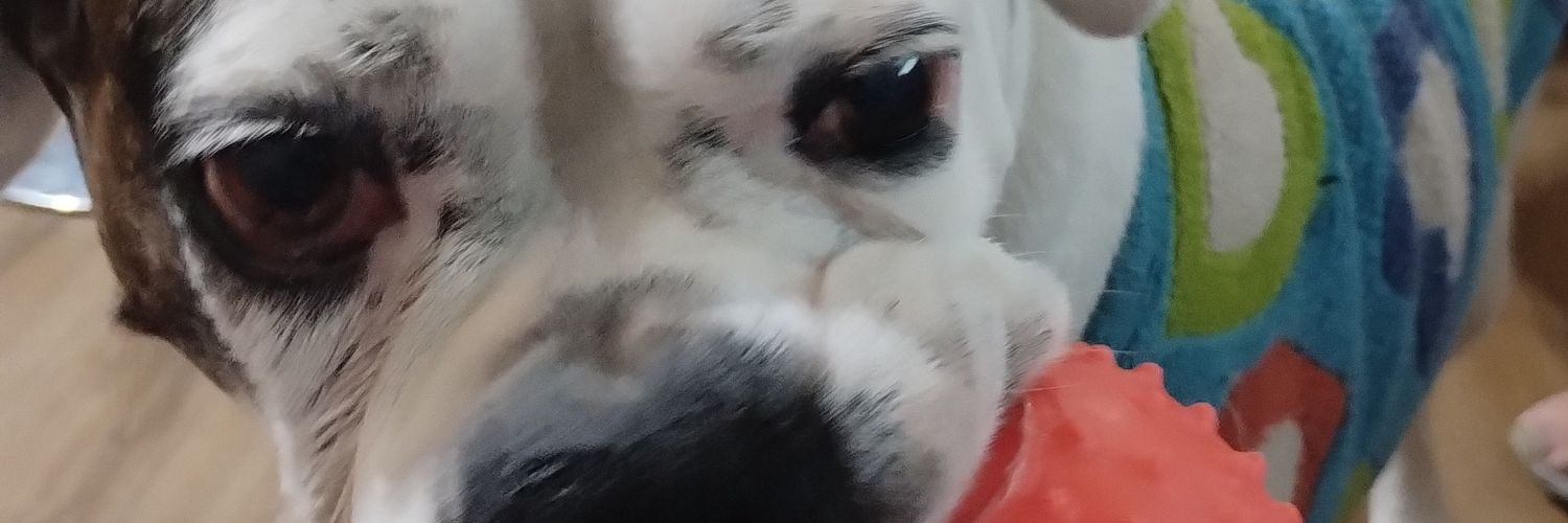 serfisz's profile banner image