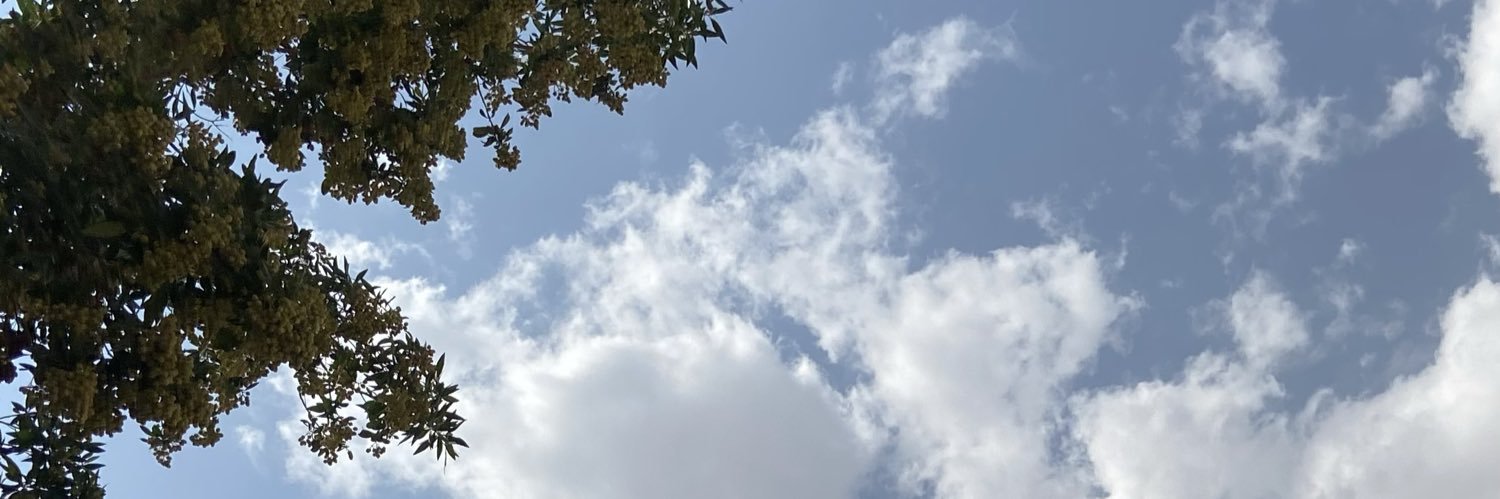 ¤🐈‍⬛ ୭ banner