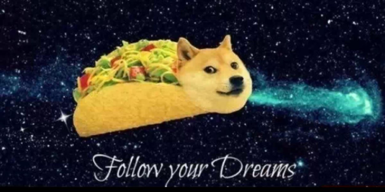 such_shibe's profile banner image