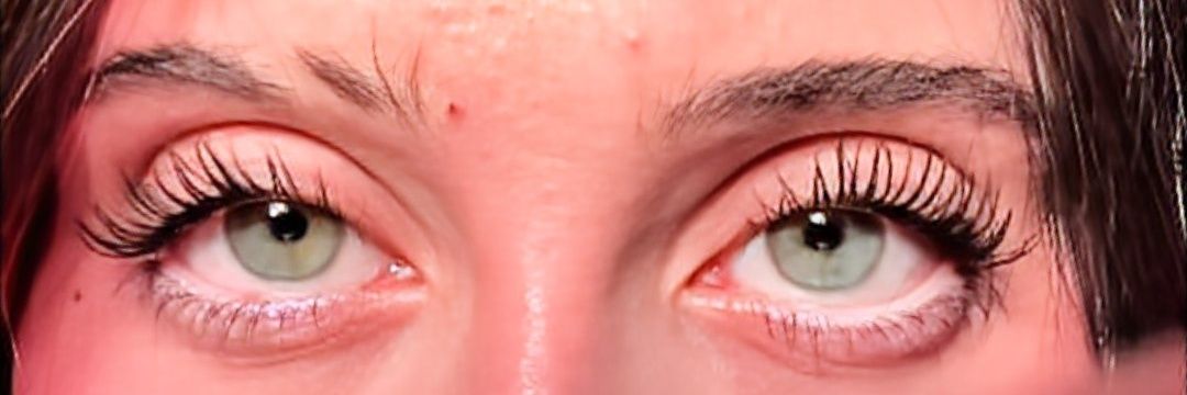 ASH 🕸️🕷️ banner