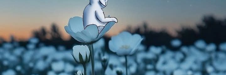 Pixy 🍄⚡️'s banner