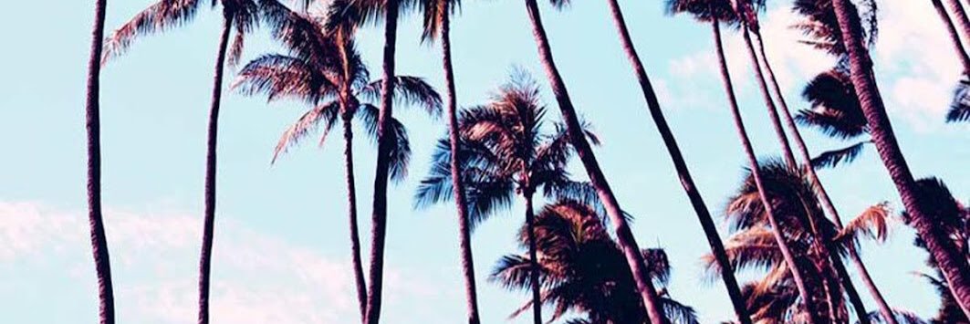 amyschirra's profile banner image