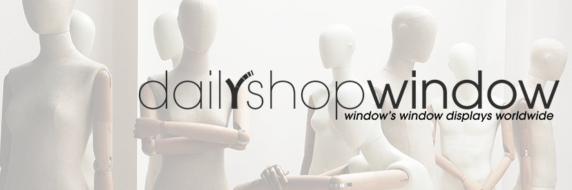 dailyshopwindow banner