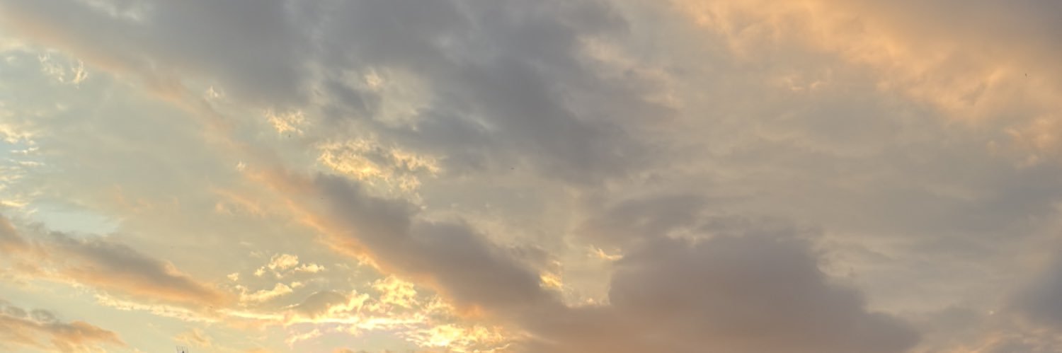 Bosbal Operador banner