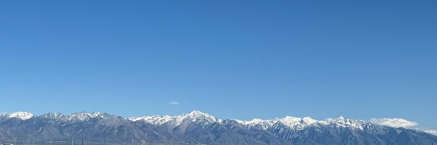 iBLU3's profile banner image