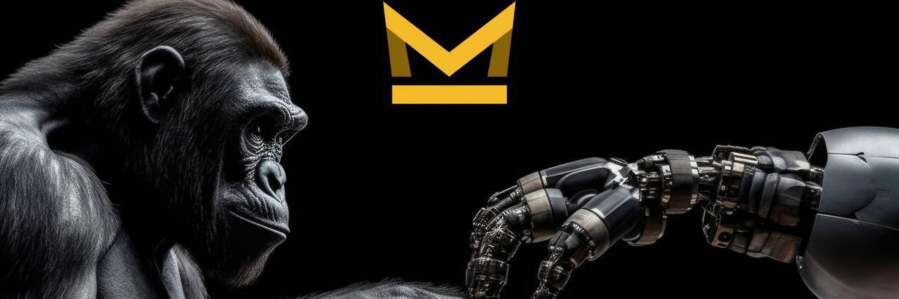 JB MKong Ventures banner