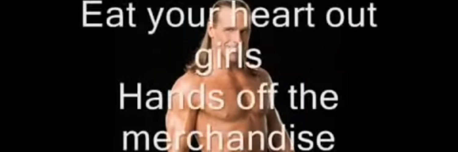 SHAWN MICHAELS ARCHIVE's banner