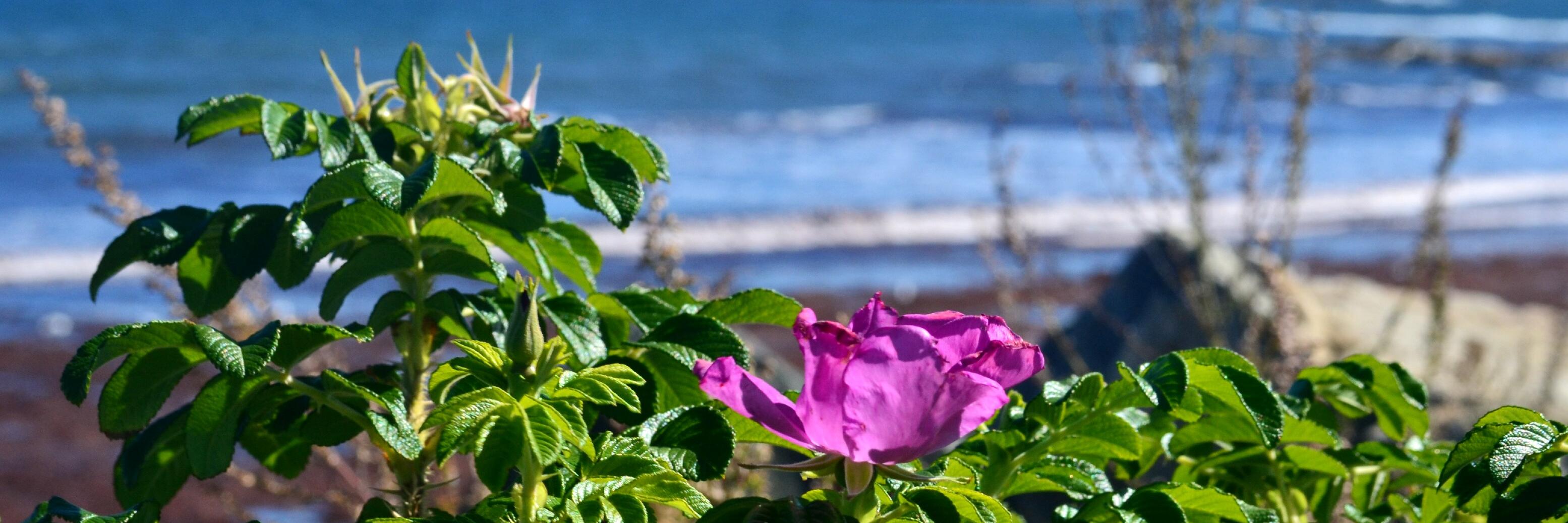 HeidiDunc's profile banner image