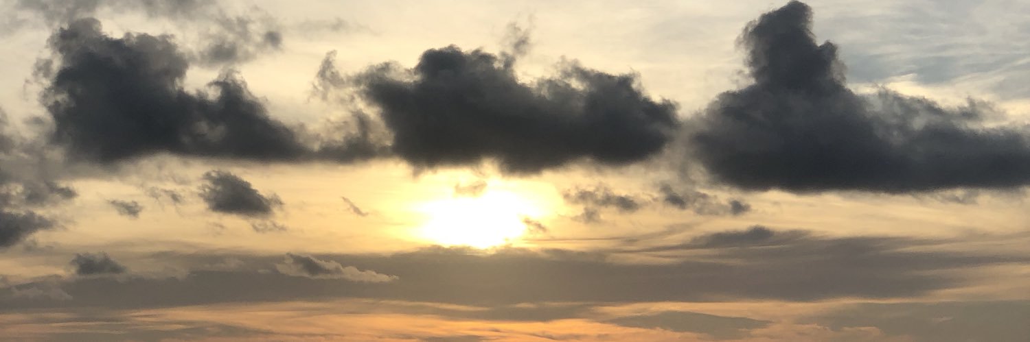 patsifier's profile banner image
