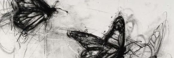 miruayala's profile banner image