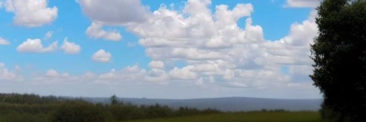 FallFlake_'s profile banner image