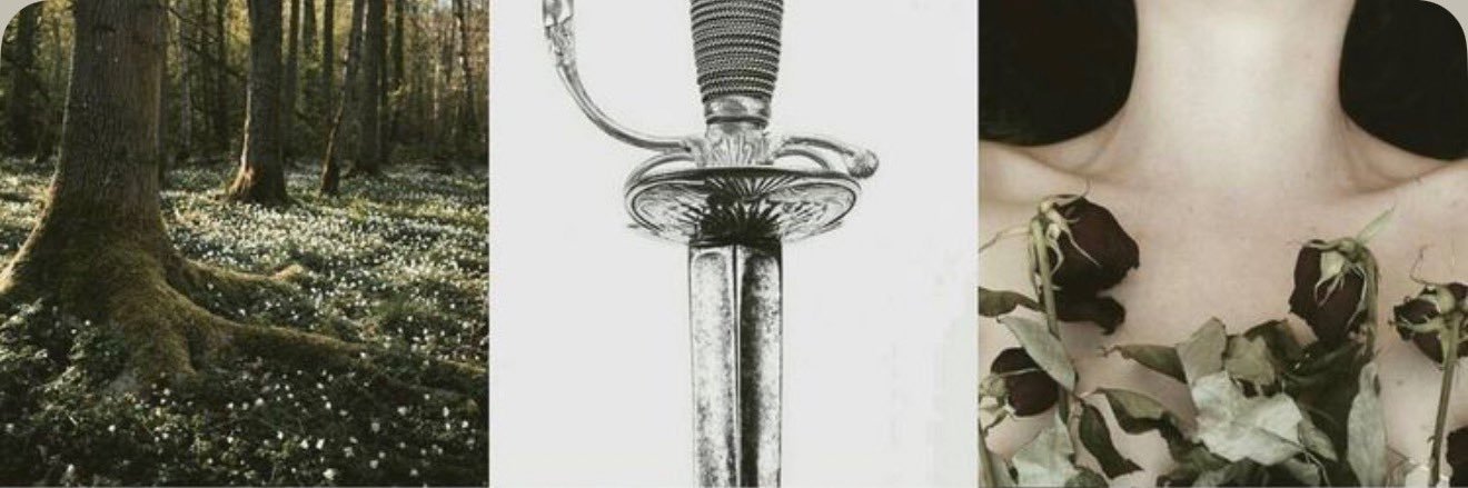 𝖡𝖺𝖽𝖺𝗌𝗌 𝖯𝗋𝗂𝗇𝖼𝖾𝗌𝗌 banner