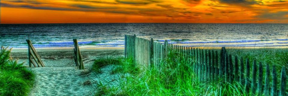 stacysimons's profile banner image