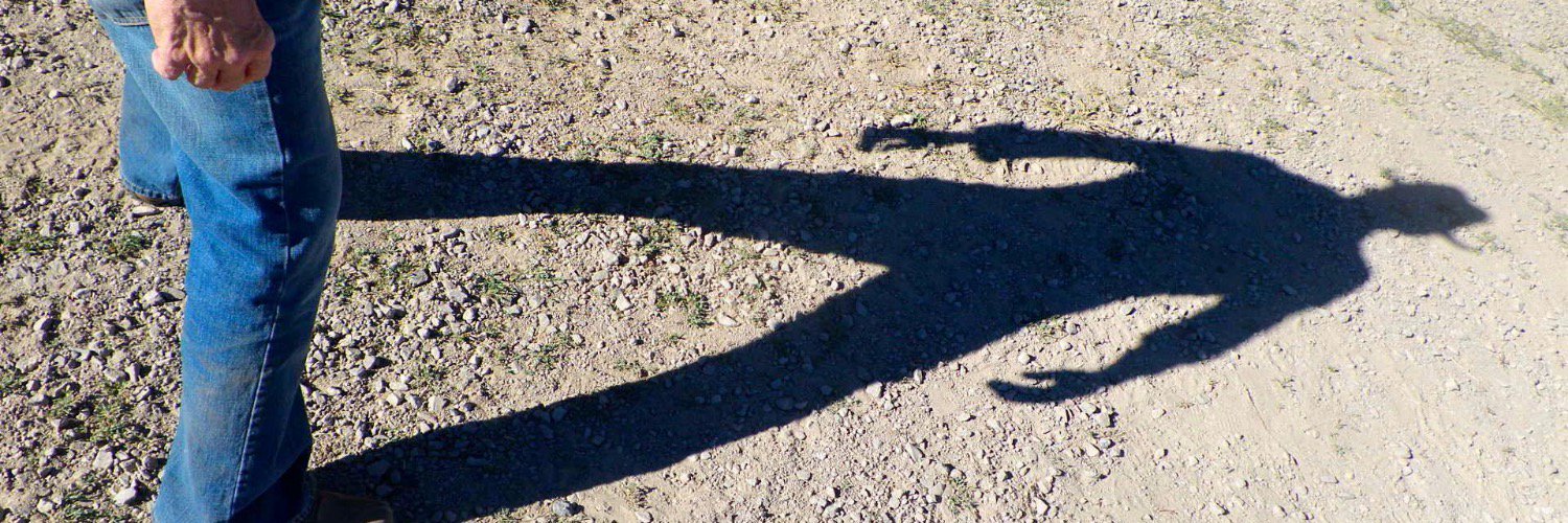 DrKenHanson's profile banner image