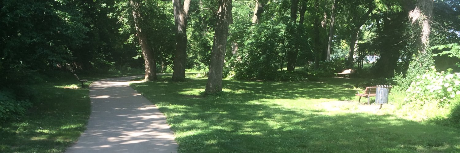 libraryladysb's profile banner image