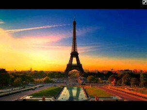 Michelle_Tanzi's profile banner image