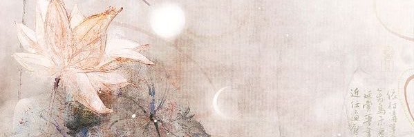 phiil1ia's profile banner image