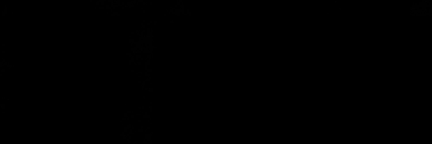 ✶⋆.˚ banner