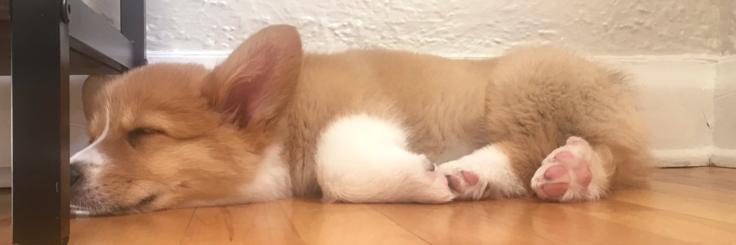 perezdidi's profile banner image