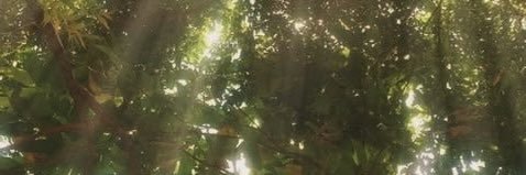 bingbongdind's profile banner image