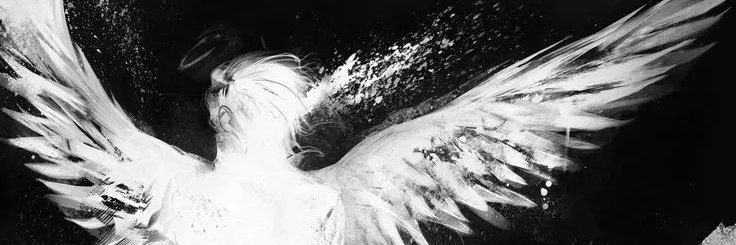 vero banner