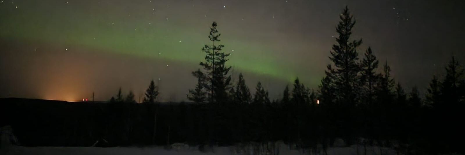 M🌟zwei🌟 banner