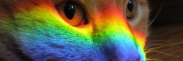 RainbowProgress Profile Banner