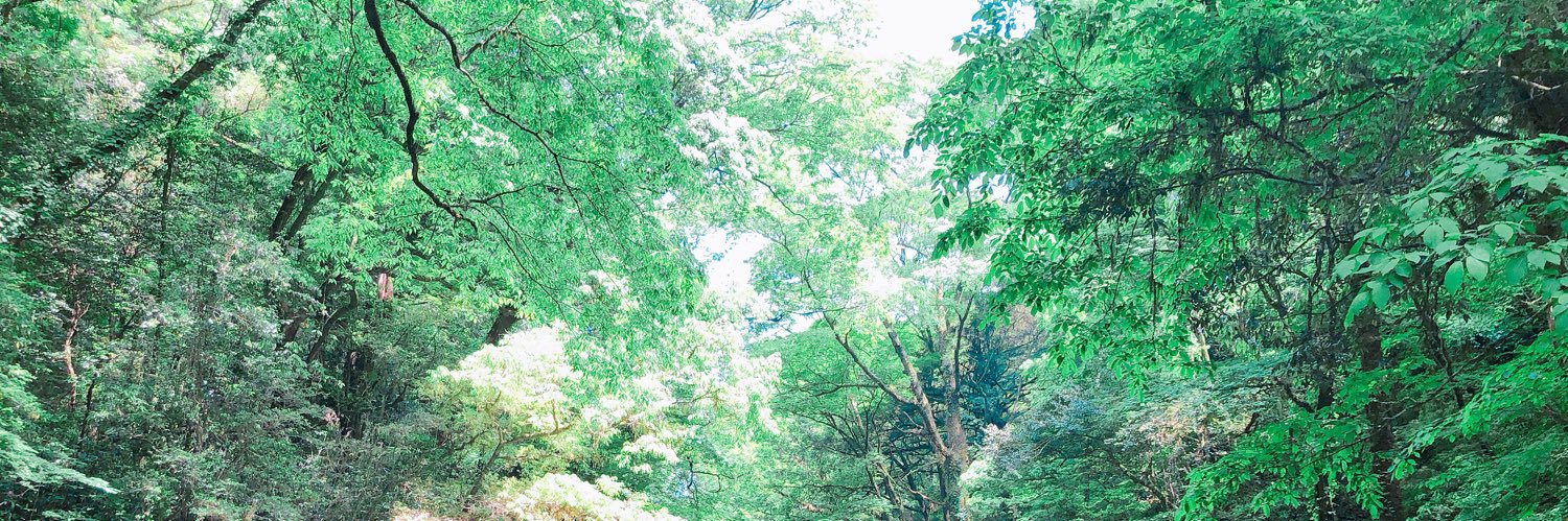 wp1260's profile banner image