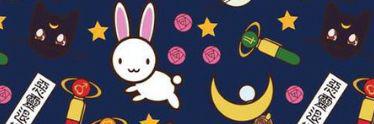 EmileRabbit's profile banner image