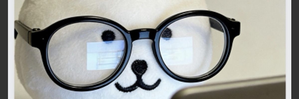 7gNba's profile banner image