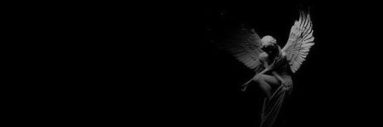 Rylo banner