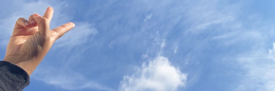 Taylormauri__'s profile banner image