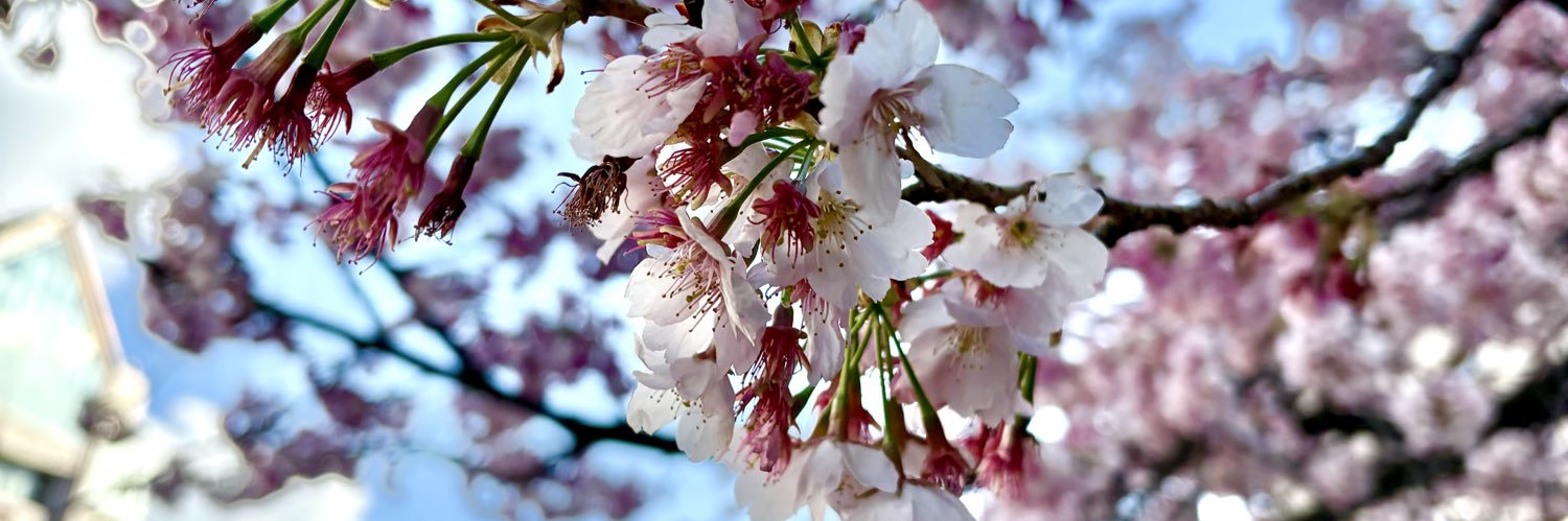 ミント💐日々の楽しみ banner