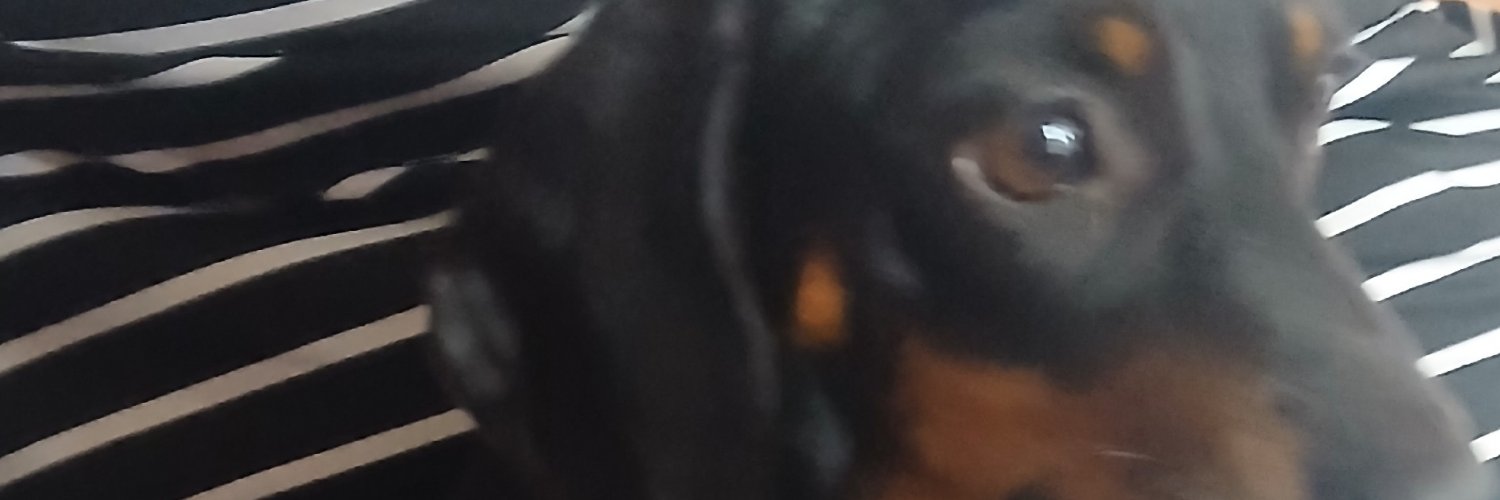 Cjwblade's profile banner image