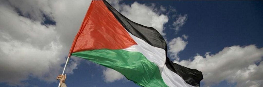 ولاء 🇵🇸's banner