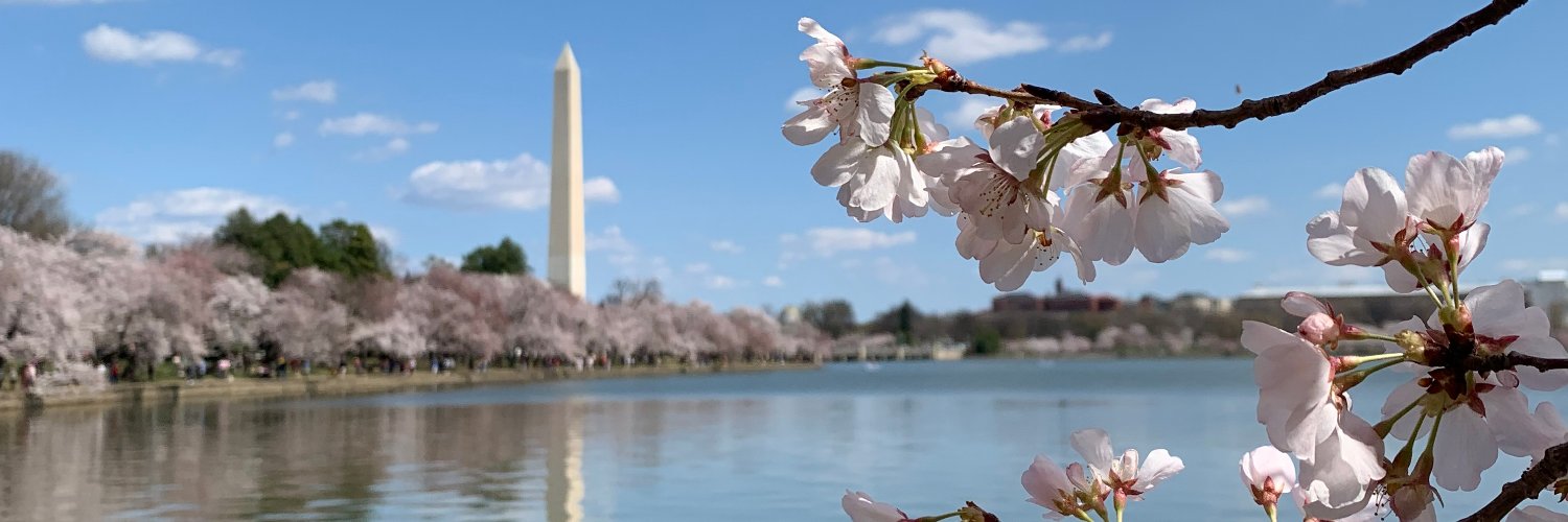 Torsten Teichmann banner