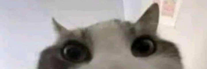 Nootchicken's profile banner image