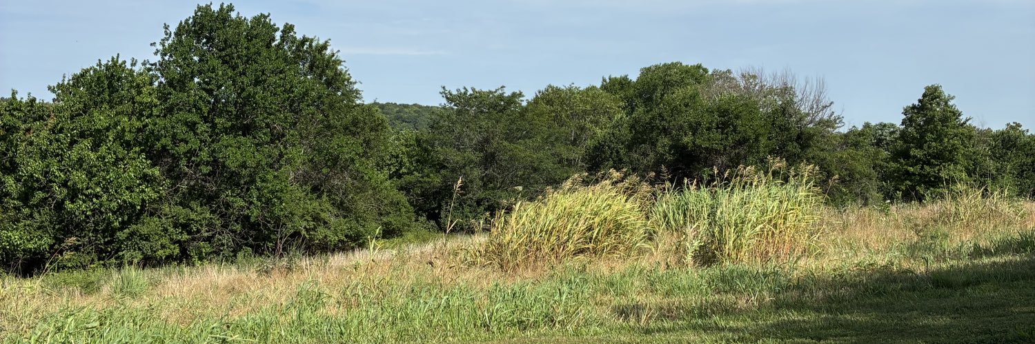 Angel Ramirez banner