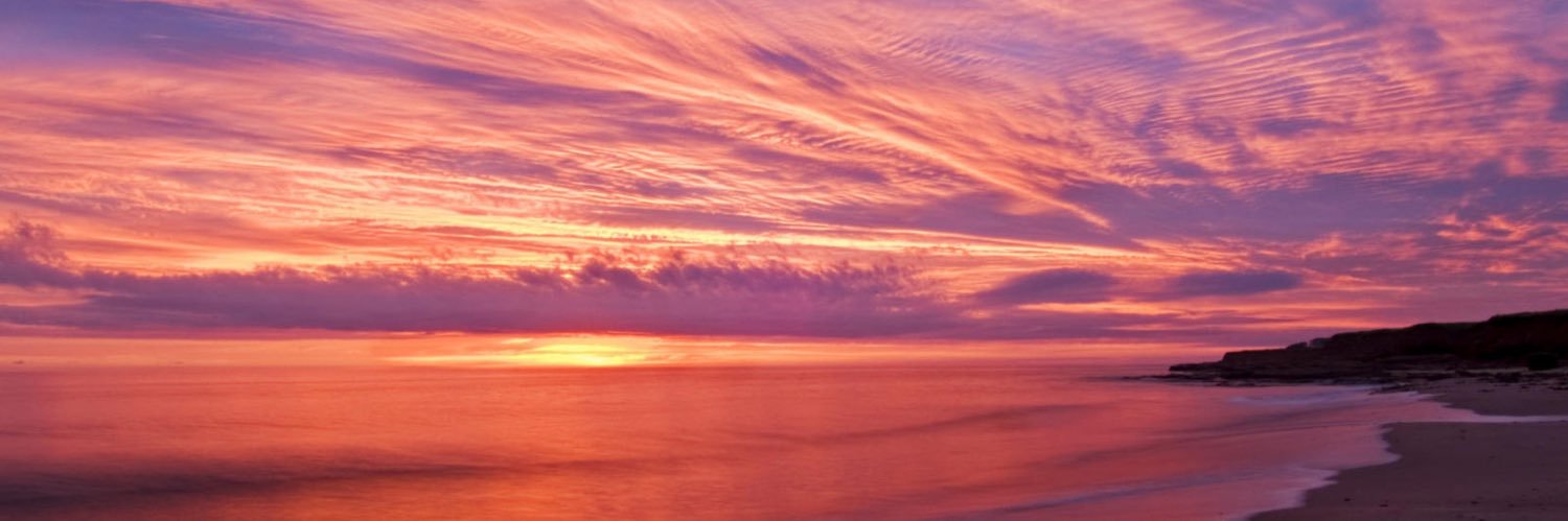 Laura🐧 ⎕ banner