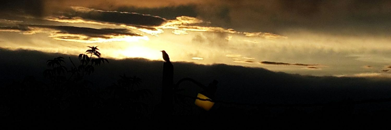 neomendez's profile banner image