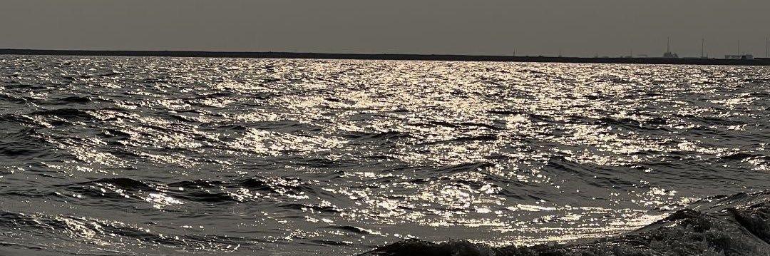 wbsmqks's profile banner image