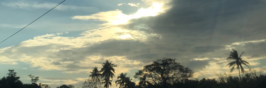 shylymalabanan's profile banner image