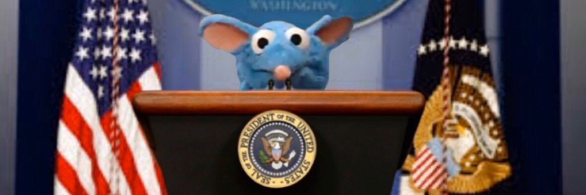 Megan Coyne's banner